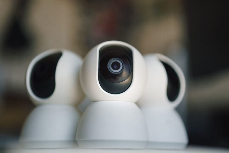 ip ownership and security details