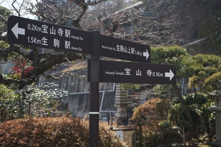 japan access guide details